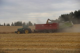 Žně 2025 - obrázek 1